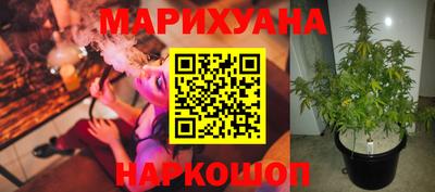 дмт Ставрополь