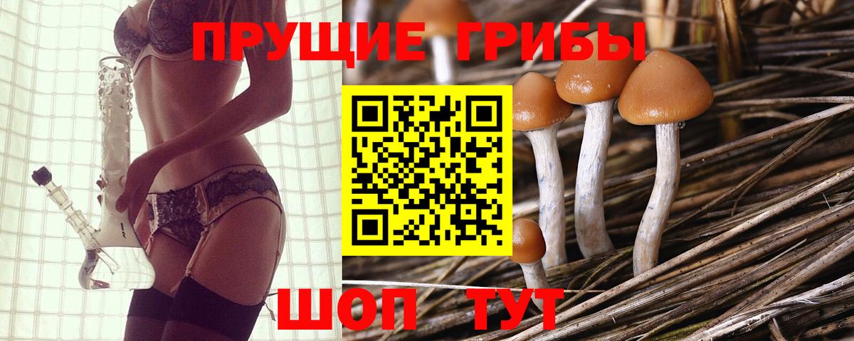 Псилоцибиновые грибы ЛСД Холмск
